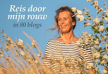 'Reis door mijn rouw in 80 blogs'